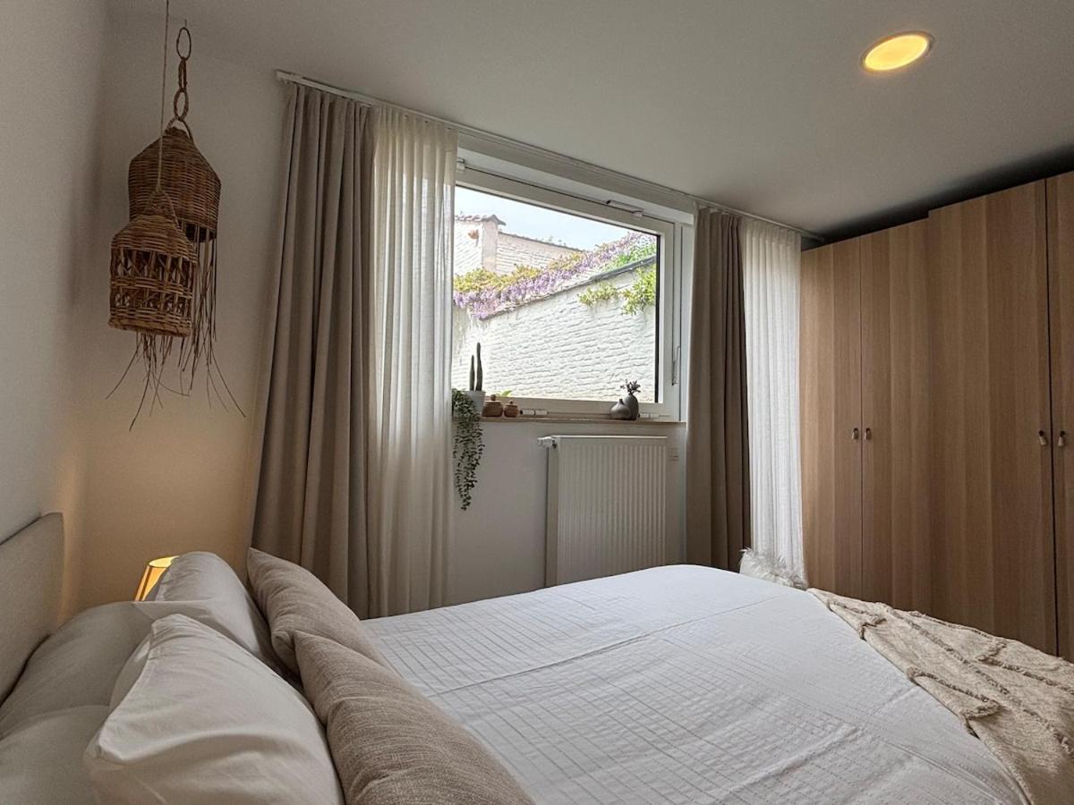 Appartement Lumineux Avec Jardin Proche Du Centre Brussel